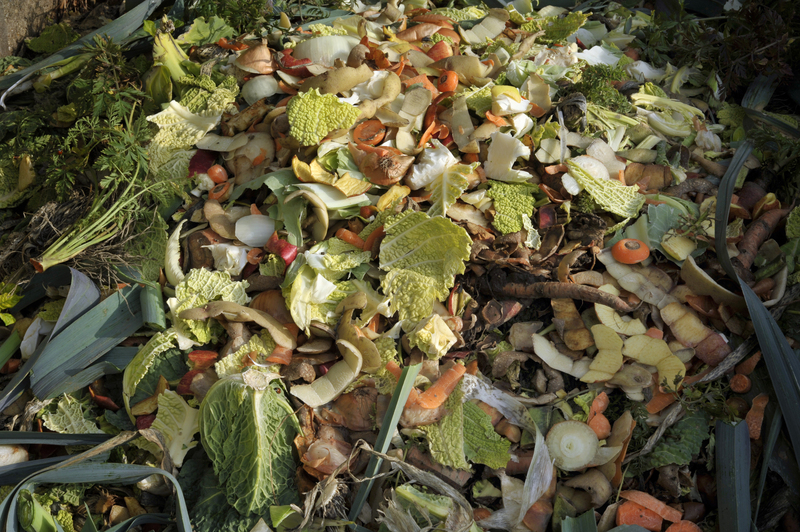 Trash to Treasure: Clever Upcycling Hacks You Can Try at Home